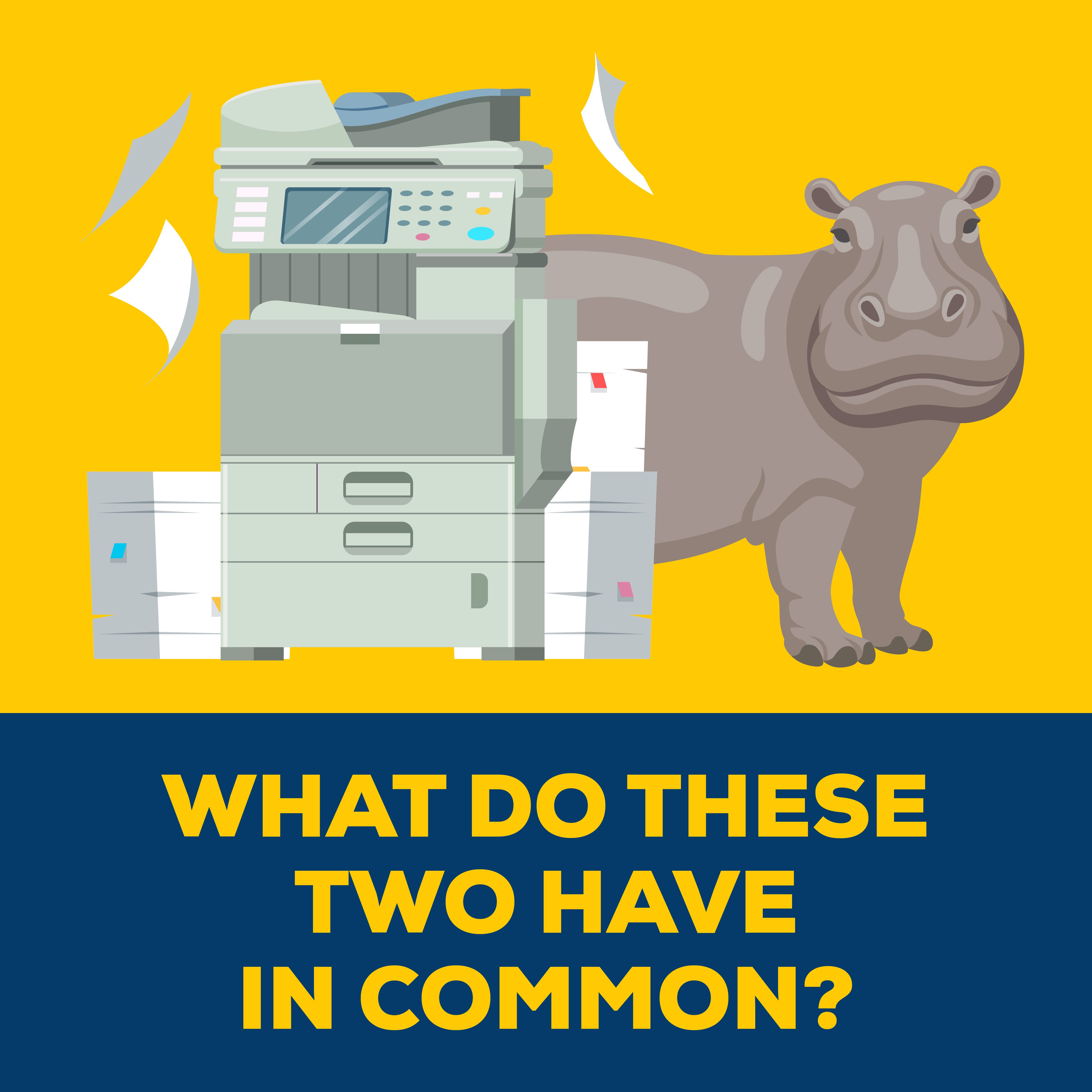 071823_MARCO_AugustBlogGraphics_Phase2_1080x1080_4