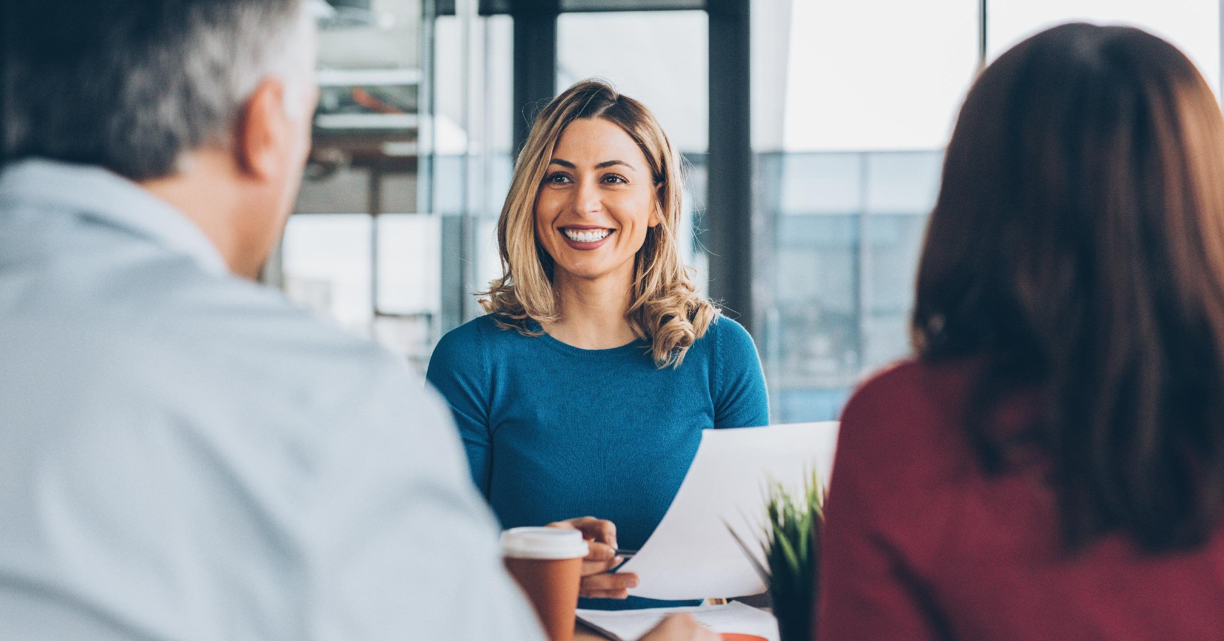 Provider proposing solution to client